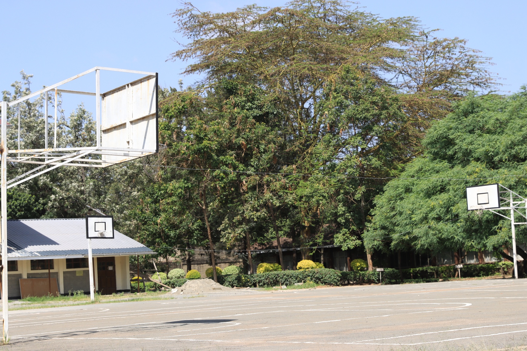 Students playing sports